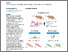[thumbnail of Proteomic Profiling Uncovers Sexual Dimorphism in the Muscle Response to Wheel Running Exercise in the FLExDUX4 Murine Model.pdf]