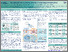 [thumbnail of RNAPAR_Poster1_AlopeciaBiology2026.pdf]