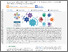 [thumbnail of MechoA+  _ A Chemical Structure Profiler Raising the Bar for the Prediction of Mechanisms of Toxic Action for Chemical Safety Assessment.pdf]