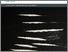 [thumbnail of Users of cocaine report final.pdf]